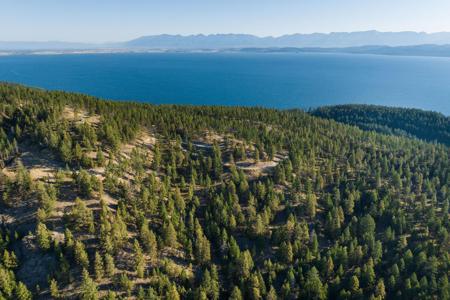 168 Angel Point Preserve