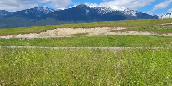 138 Grassy Loop