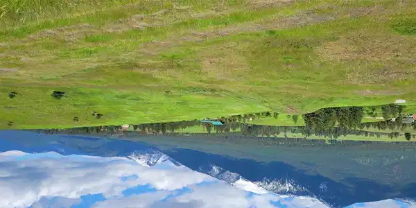 89 Grassy Loop