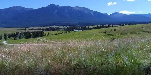 180 Grassy Loop