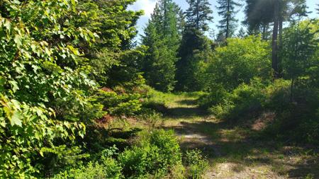 500 Blacktail Heights Road