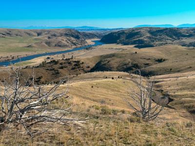 NHN S Beartrap Canyon Road