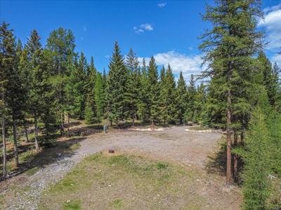 311 Bear Trap Road