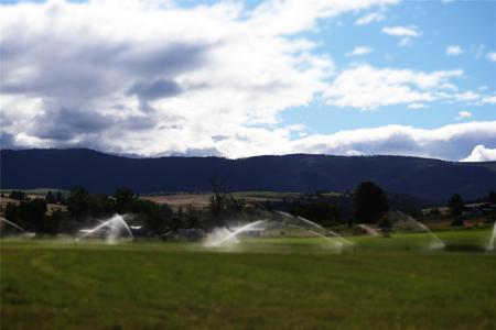 NHN Bolin Ranch Road
