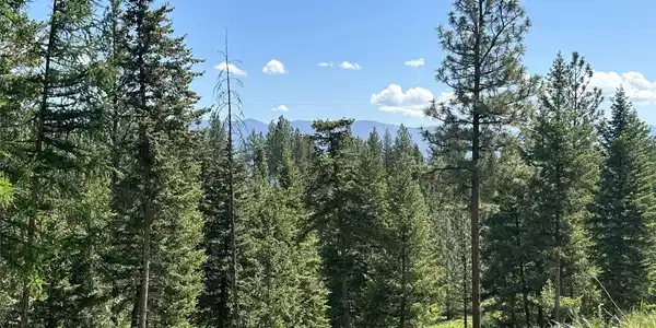Lot 32 Hillandale Trail