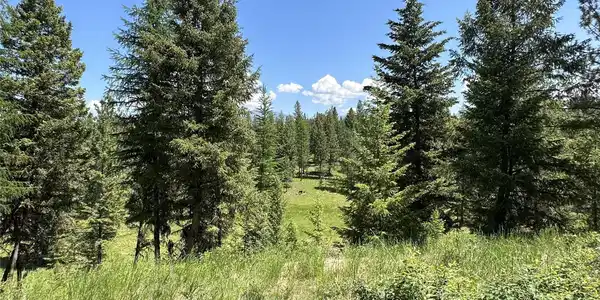 Lot 30 Hillandale Trail