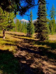 001 Rumble Creek Road