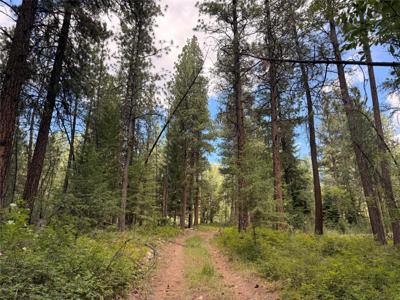 512 Lookout Trail