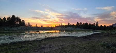 10 Tract, Hall Creek