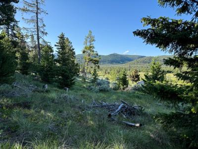 NHN (1.78+/- Acres) Sunchild Lane