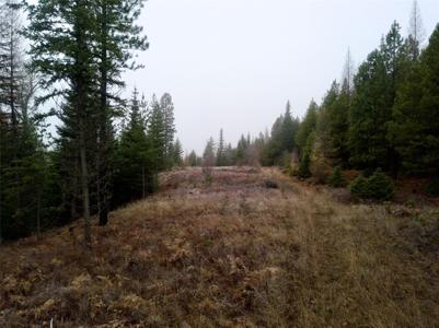 15A Shoshone Trail