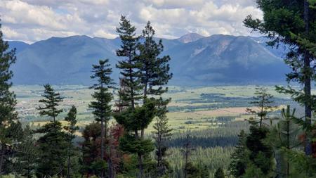 Lot 21 Arlee Pines
