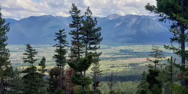 Lot 21 Arlee Pines