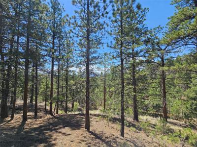NHN Upper Sawmill Creek Road