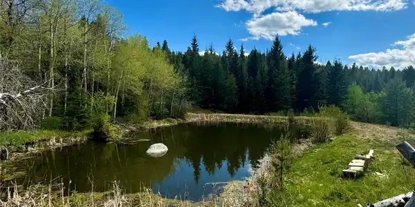 NHN Perkins Gulch Road