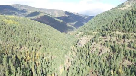 Nhn Pilgrim Creek Road