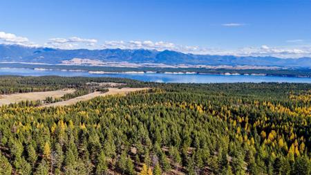 nka Tooley Creek Road