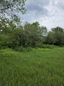 NHN Stitt Lane
