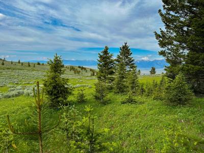 NHN Boiler Spring Trail