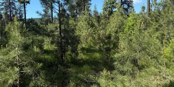 48 Silvertip Way