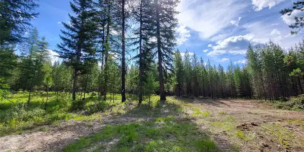 34388 Shay Lake Road