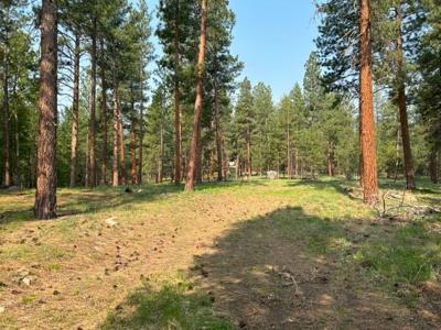 440 Sharrott Hill Loop