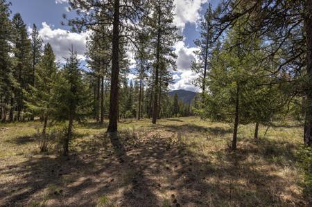NHN Mountain Vista Lane