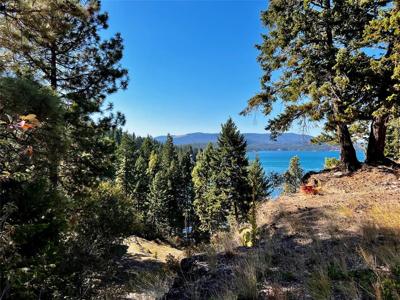 30373 Coneflower Lane