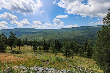 1675 Virginia Hill Road