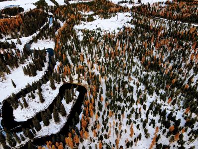 Nhn Us Highway 93 W
