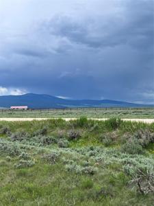 Tract 21 Steel Creek Road