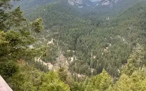 695 Steep Creek Road