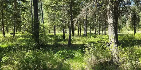 NH Fairview Drive