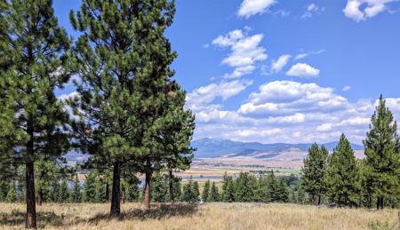 Lot 29 Leiber Road