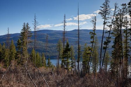 NHN Swan Lake Overlook