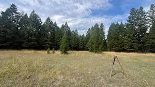 1615 Truman Creek Road