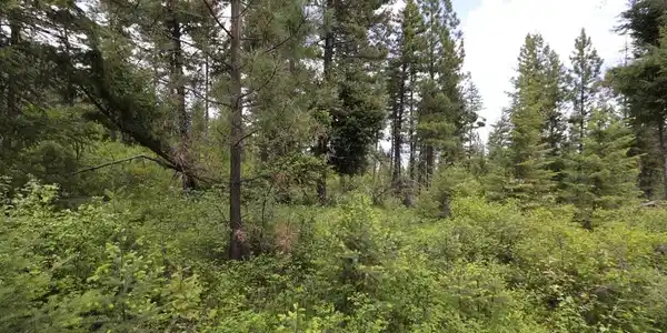 NHN Tract 1B E Fork Combest Creek Road