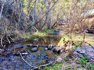 3925 Little Wolf Creek Road