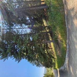 216 Glacier Ranch Road