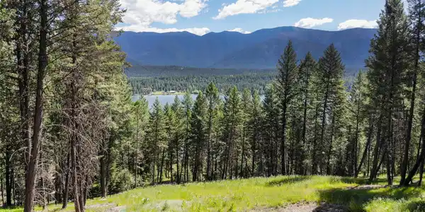 187 Elk Trail