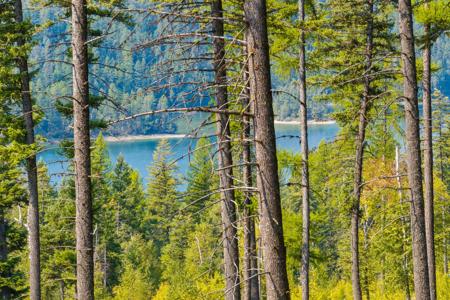 19210 & NHN MT Highway 83