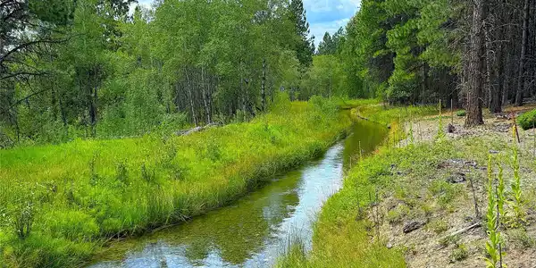 Nhn Pomeroy Trail