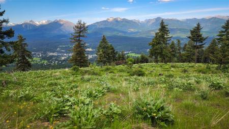 Nhn Swede Mountain Road
