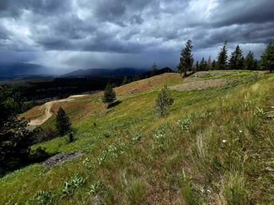 Lot 5 Diamond S Ranch