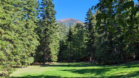 11552 S Whitetail Road