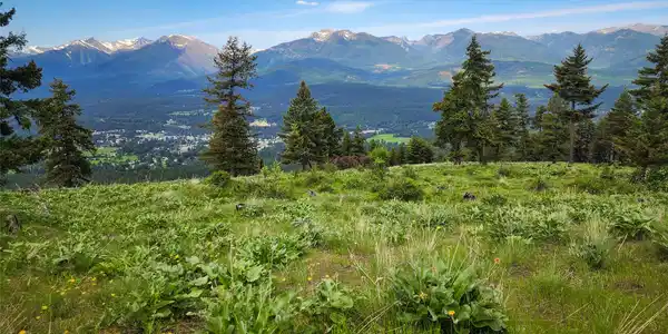 Nhn Swede Mountain Road