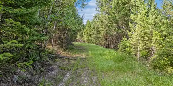 NHN Haywire Gulch