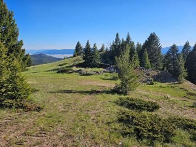 2741 Iron Mountain Road