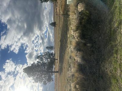 461 Arrow Hill Ranch Road