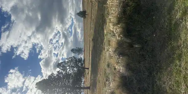 461 Arrow Hill Ranch Road
